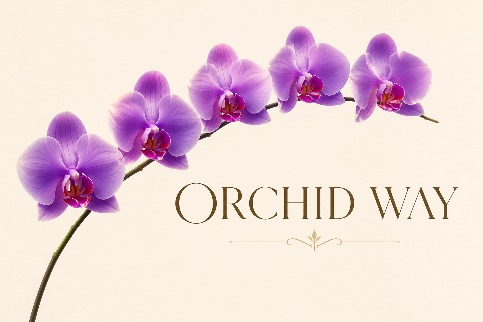 Orchid Way